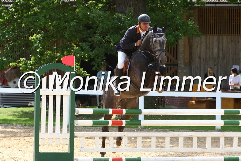 006M6877_Corvino_Springpferde L.JPG